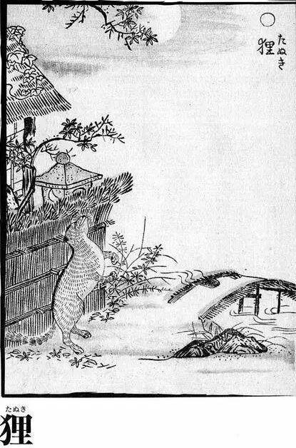 狸猫日本传说,探寻日本传说中的神秘幻兽之谜