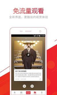 晚安头条爆料视频,视频爆料背后的惊人真相