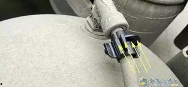 男女插插接接视频,男女互动瞬间精彩回顾