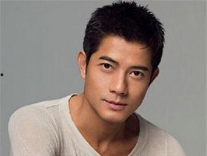 鹅蛋脸的男明星,盘点那些令人惊艳的帅气面孔