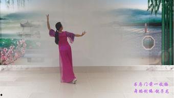 舞蹈女人花视频,探寻古典与现代交融的舞蹈魅力